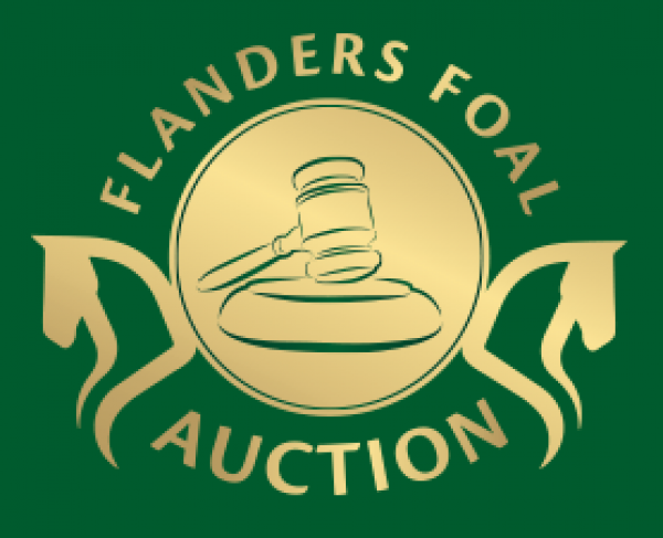 Flander Foal Auction